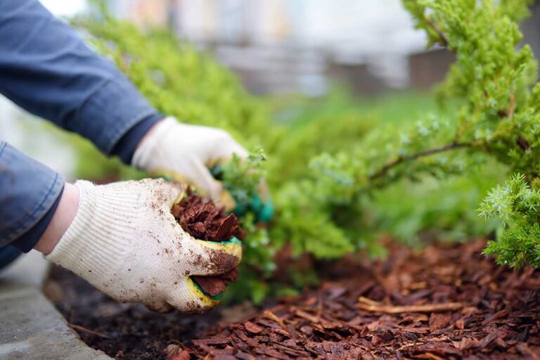 Landscaping photo from Adobe Stock