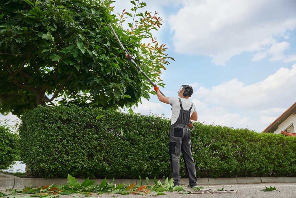 Landscaping photo from Adobe Stock