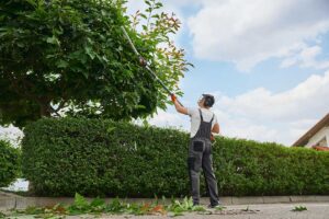 Landscaping photo from Adobe Stock