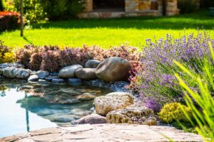A residential backyard garden showing blooming flowers, evergreen shrubs, and colorful ornamental grasses.