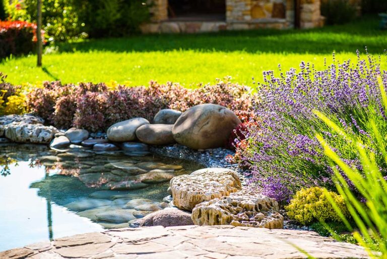 A residential backyard garden showing blooming flowers, evergreen shrubs, and colorful ornamental grasses.